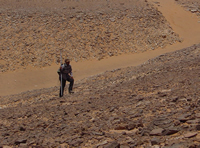 topographic surveying 